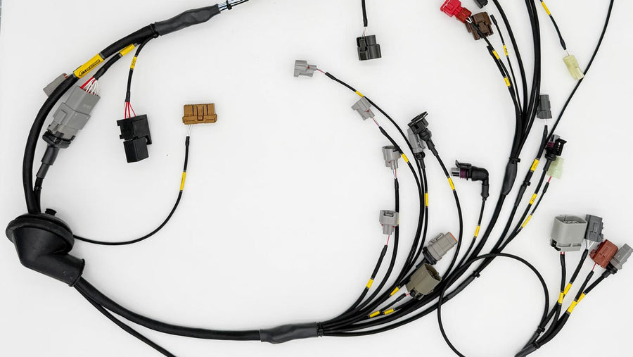 Street-Spec Harness
