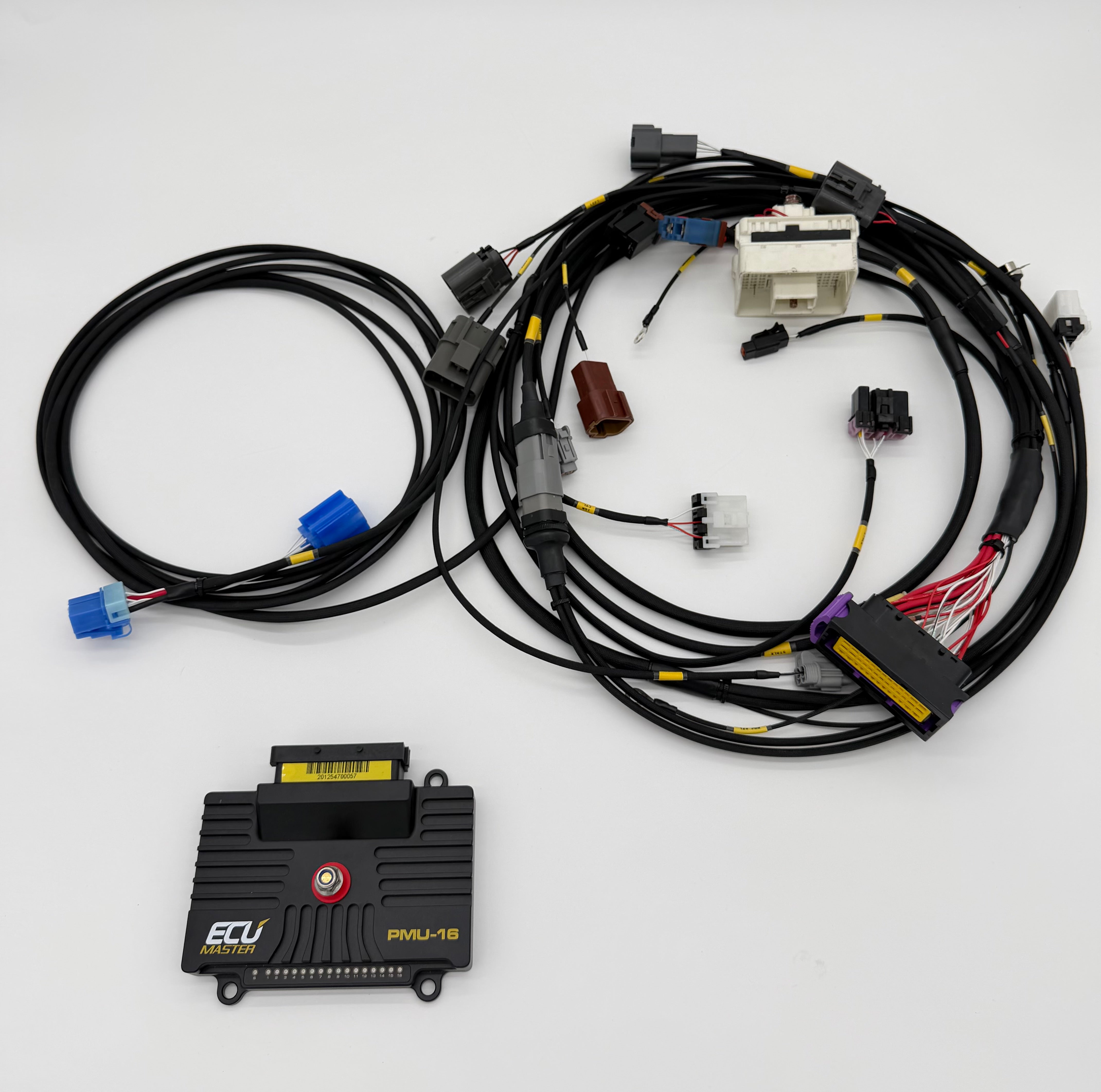 Chassis harness flatlay